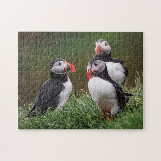Puffin Trio Puzzle (Horizontal)