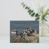 Puffin-Übereinkommen Postkarte (Stehend Vorderseite)