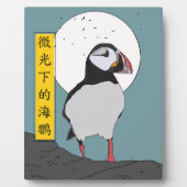 Puffin unter blassem Licht Fotoplatte (Vorderseite)