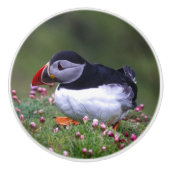 Puffin-Untersetzer Keramikknauf (Vorderseite)