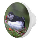 Puffin-Untersetzer Keramikknauf (Rechts)