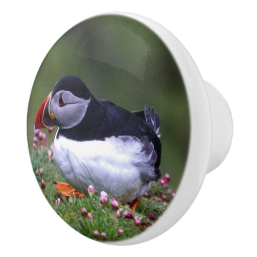 Puffin-Untersetzer Keramikknauf (Rechts)