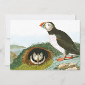 Puffin von John James Audubon Dankeskarte (Vorderseite)