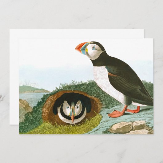 Puffin von John James Audubon Dankeskarte (Vorne/Hinten)