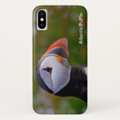 Puffinbild für iPhone/iPad Gehäuse Case-Mate iPhone Hülle (Rückseite)