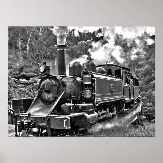 Puffing Billy Dampfzug Poster (Vorne)