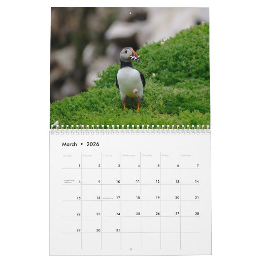 Puffins Calendar Kalender (Mär 2026)