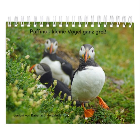 Puffins - kleine Vögel ganz groß Kalender (Titelbild)