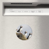 Puffins Magnet (In Situ (Geschirrspüler))