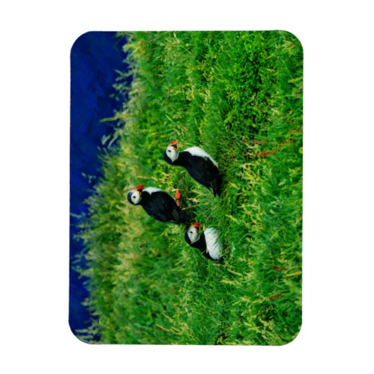 Puffins Magnet (Vertikal)