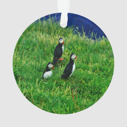 Puffins Ornament (Rückseite)