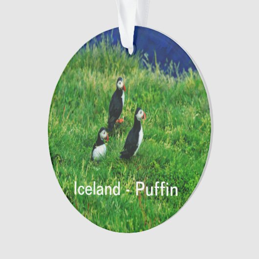 Puffins Ornament (Vorderseite)