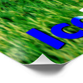 Puffins Poster (Ecke)