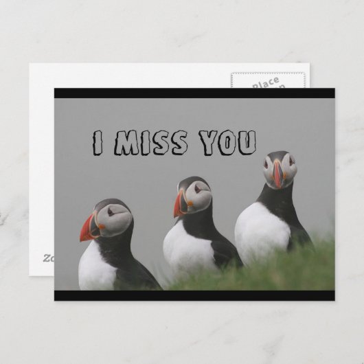 Puffins Postkarte (Vorne/Hinten)