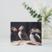 Puffins Postkarte (Stehend Vorderseite)