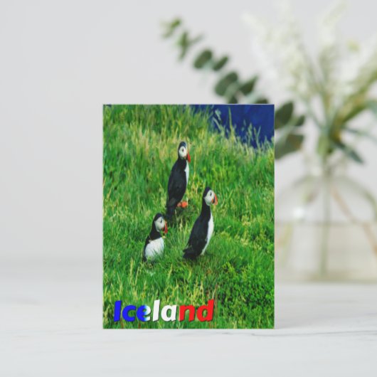 Puffins Postkarte (Stehend Vorderseite)