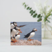 Puffins Postkarte (Stehend Vorderseite)