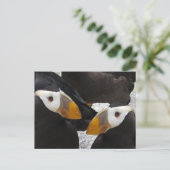 Puffins.. Postkarte (Stehend Vorderseite)