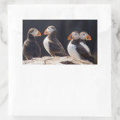 Puffins Rechteckiger Aufkleber (Tasche)