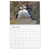 Puffkalender Kalender (Mär 2026)