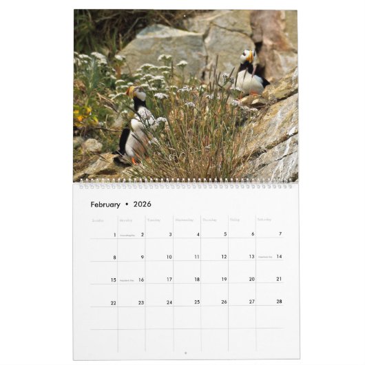 Puffkalender Kalender (Feb 2026)
