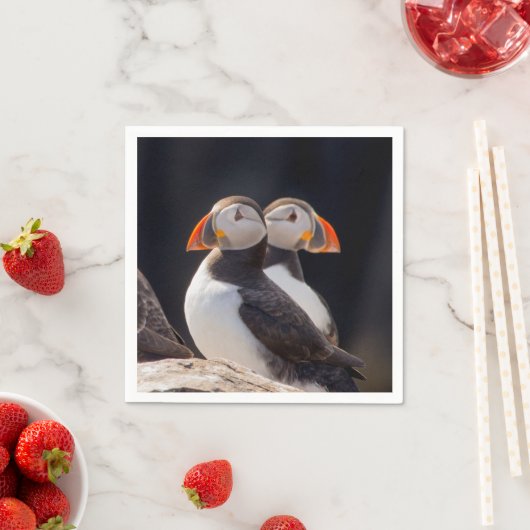 Puffnpaare Serviette (Beispiel)