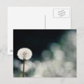 Puffs im Garten Postkarte (Vorne/Hinten)