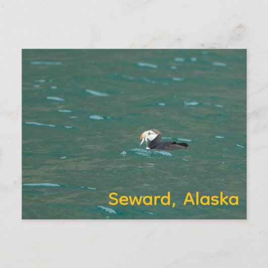 Puffsfisch Feiertagspostkarte (Vorderseite)