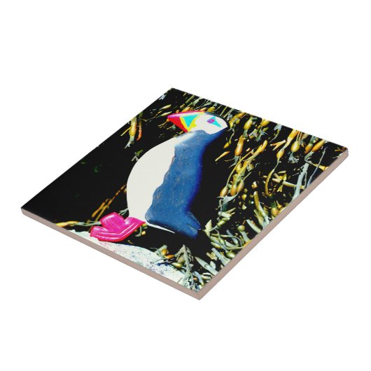 Puffstein Fliese (Seite)