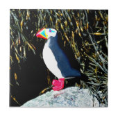 Puffstein Fliese (Vorderseite)