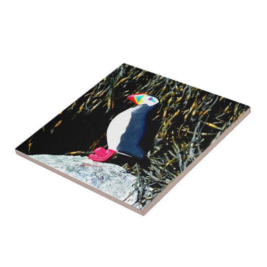 Puffstein Fliese (Seite)