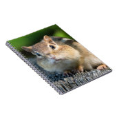 Puffy Cheeked Chipmunk Notizblock (Rechte Seite)