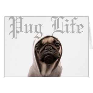 Pug