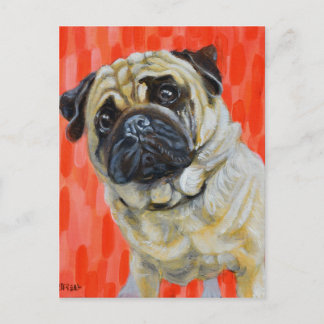 Pug 0range postkarte