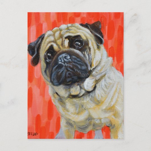 Pug 0range postkarte (Vorderseite)