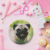 pug-13 pappteller (Party)