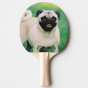 pug-30.jpg tischtennis schläger