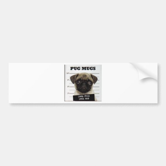pug_5 autoaufkleber (Vorne)