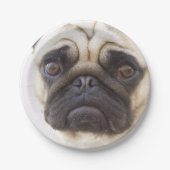 pug-7 pappteller (Vorderseite)