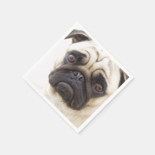 pug-7 serviette