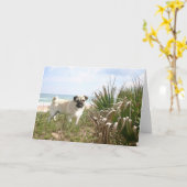 Pug Beachgrass Card Karte (Gelbe Blume)