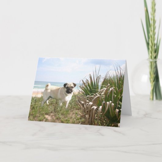 Pug Beachgrass Card Karte (Vorderseite)