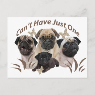 Pug Can't Have Just One Apparel and Ohrs Postkarte