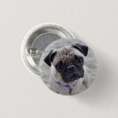 Pug Closeup Button (Vorne & Hinten)