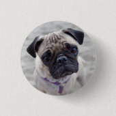 Pug Closeup Button (Vorderseite)