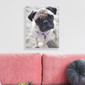 Pug Closeup Leinwanddruck (Insitu (Wohnzimmer))