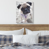 Pug Closeup Leinwanddruck (Insitu (Schlafzimmer))