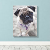 Pug Closeup Leinwanddruck (Insitu (Holzboden))
