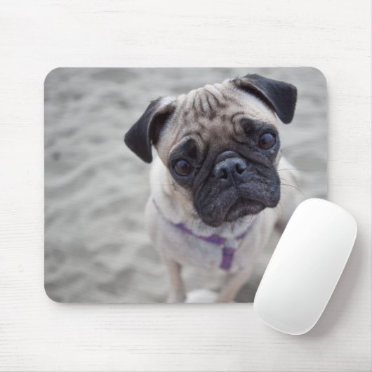 Pug Closeup Mousepad (Mit Mouse)