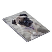 Pug Closeup Notizblock (Rechte Seite)